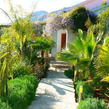 My mediterranean garden in Dalmatia
