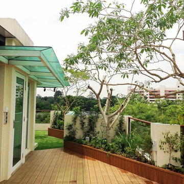 Penthouse garden