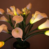 Buttercup - Illuminated Floral Design, White and White, Mango Wood Vase