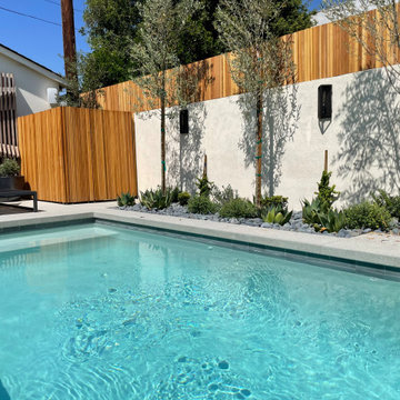 Toluca Lake Plunge Pool AFTER