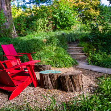 Grassy Meadow Oasis - Reduces Waste While Increasing Habitat