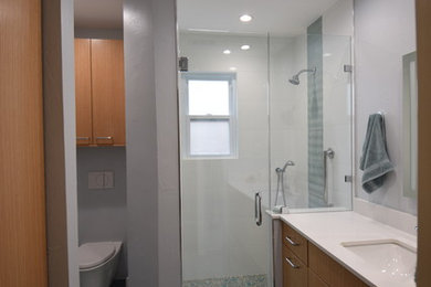 Mid-century modern bathroom photo in Dallas