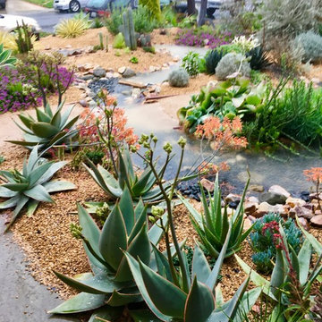 Soft Desert Gardens