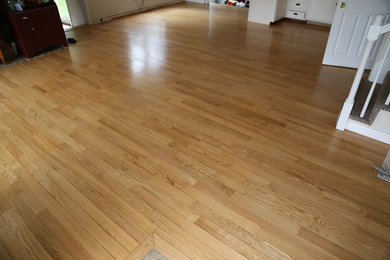 Inspiration for a timeless light wood floor living room remodel in Boston