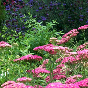 MEDITERRANEAN COTTAGE GARDEN