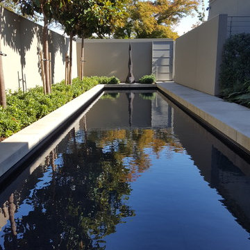 Magnolia Reflection