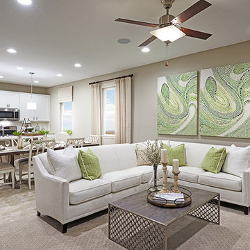 Peridot model home in Florida