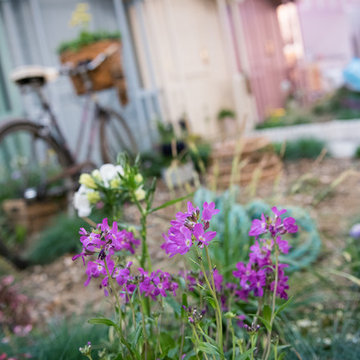 Seaside Garden by LS+L Landscape Design & Build