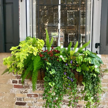Southern Window Boxes