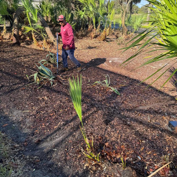 Landscape Renovation and Yard Preparation