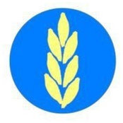 عبدالحكيم جوانs foto