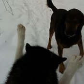 Cathy Schoel's photo