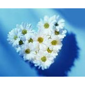 Dalia Elbadr's photo