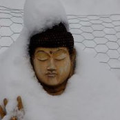 Linda Blitstein's photo