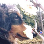 Ryuichi tsunoda's photo