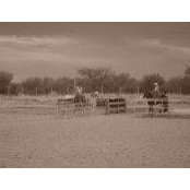 J Velazquez's photo