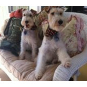 Sherry Haines Ackerman's photo