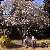 Trisha Trien's photo