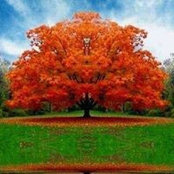 Jean Kinkade's photo
