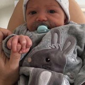 Esteban Laso's photo