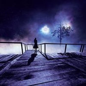 Nadia Goetynck's photo