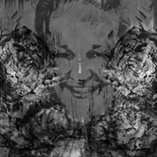 Pleun Brevet's photo