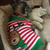 Beth Rogers's photo
