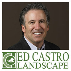 Ed Castro Landscape