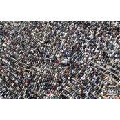 Foto von Manar Mohamed