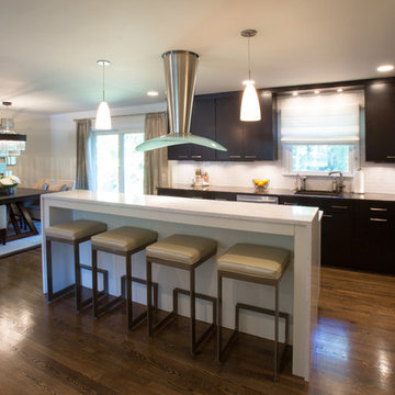 Silver Spring Modern Kitchen Design Remodel