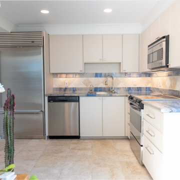 Contemporary Kitchen Remodel Done in a Mist Super Matte Color