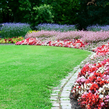 Dirty Dirt Soil Company Launches Purpose-Built Soil Line for Gardeners