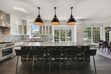 Trendy kitchen photo in Chicago