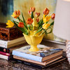 Artichoke Tulipiere, Yellow, Small