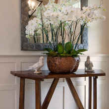 Contemporary cape cod