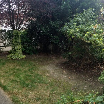 Jardinet urbain : photo initiale