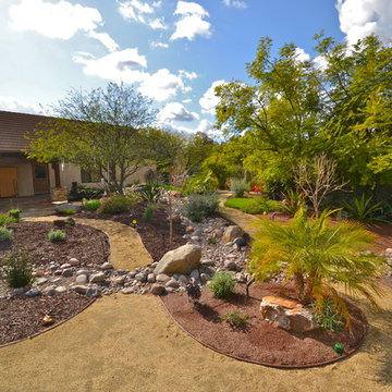 Poway-92064-Low Maintenance Desertscape