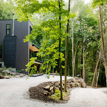 Landscape Ideas