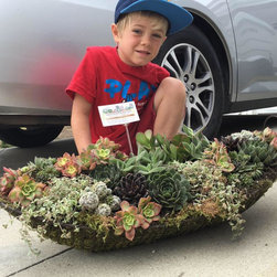 succulent arrangments - Products
