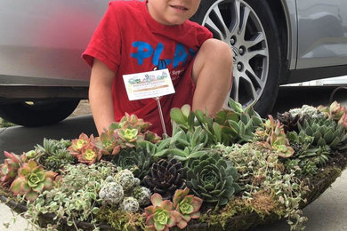 succulent arrangments