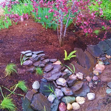 Master Gardener Landscape Makeover Rain Garden