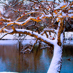 Winter - Paintings