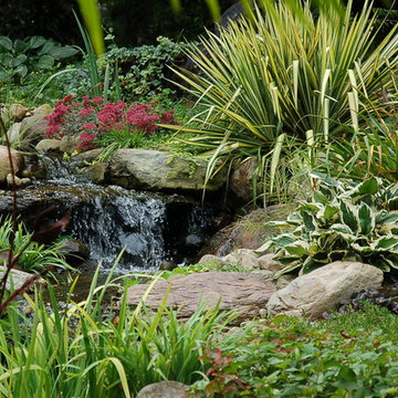 Secluded Garden with Koi Pond