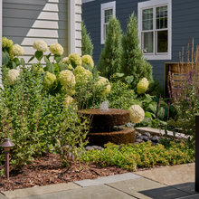 RH - Front Yard