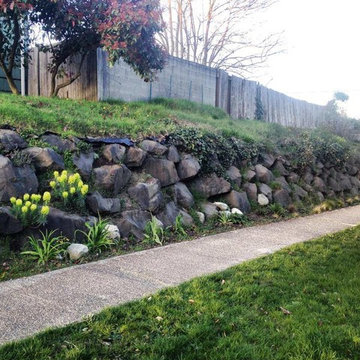 Olympic Rockeries
