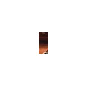 Michael Soriano's photo