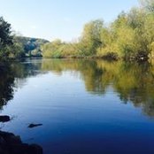 Mark Lavis's photo