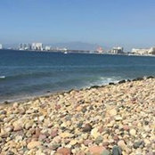 Marjorie Nesbitt's photo