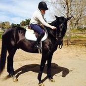 Sonja Petri's photo