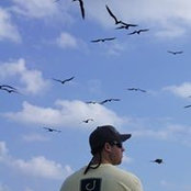 Tim Johnson's photo